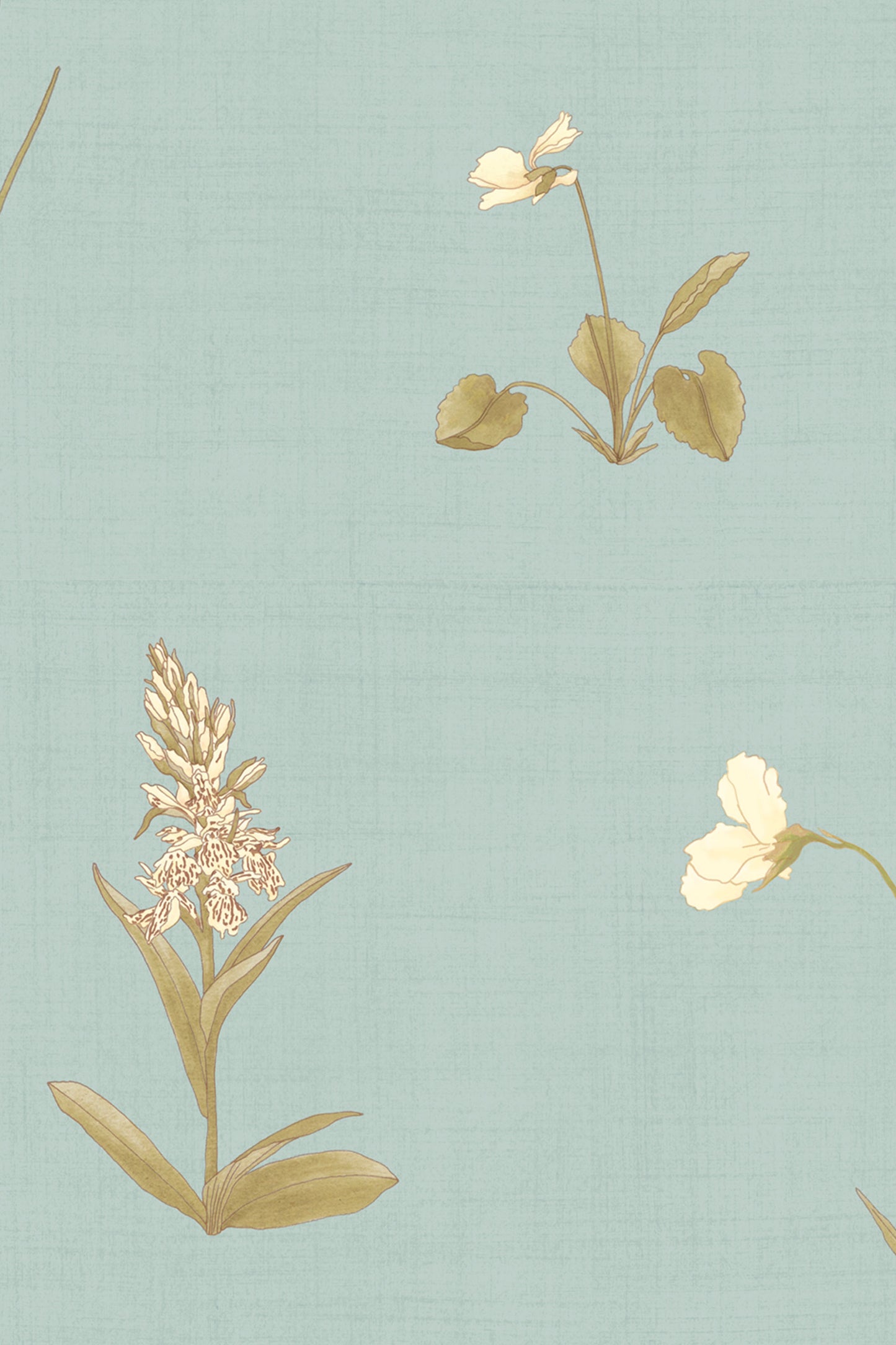 Aubépine - Bleu céleste