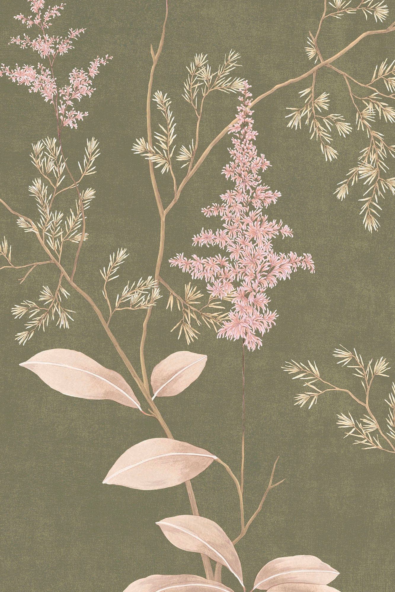 Bois d'Or - Vert Sauge