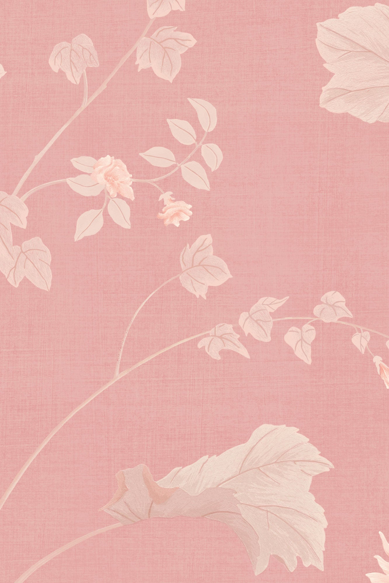 Iliav - Rose cerisier