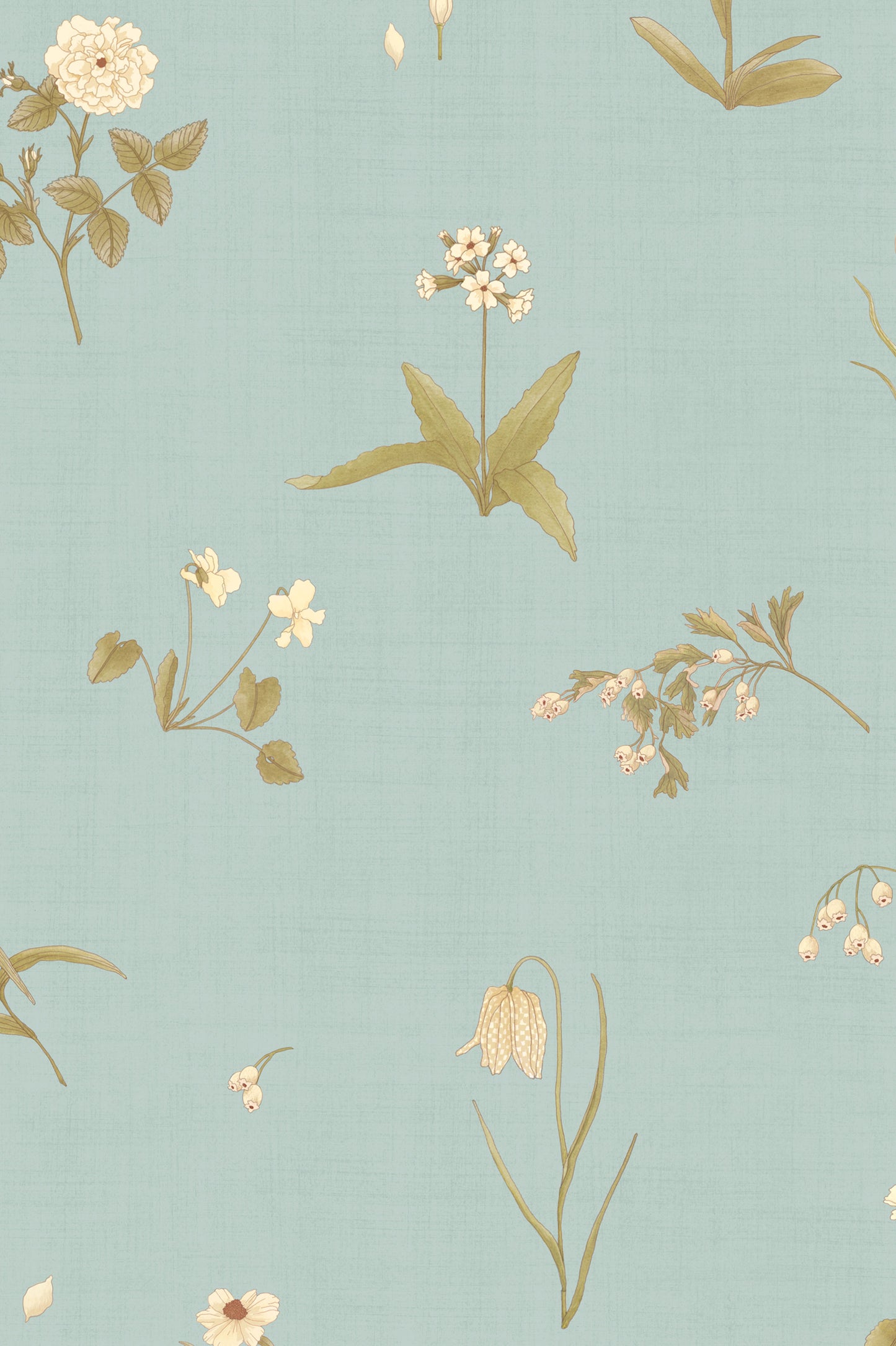 Aubépine - Bleu céleste