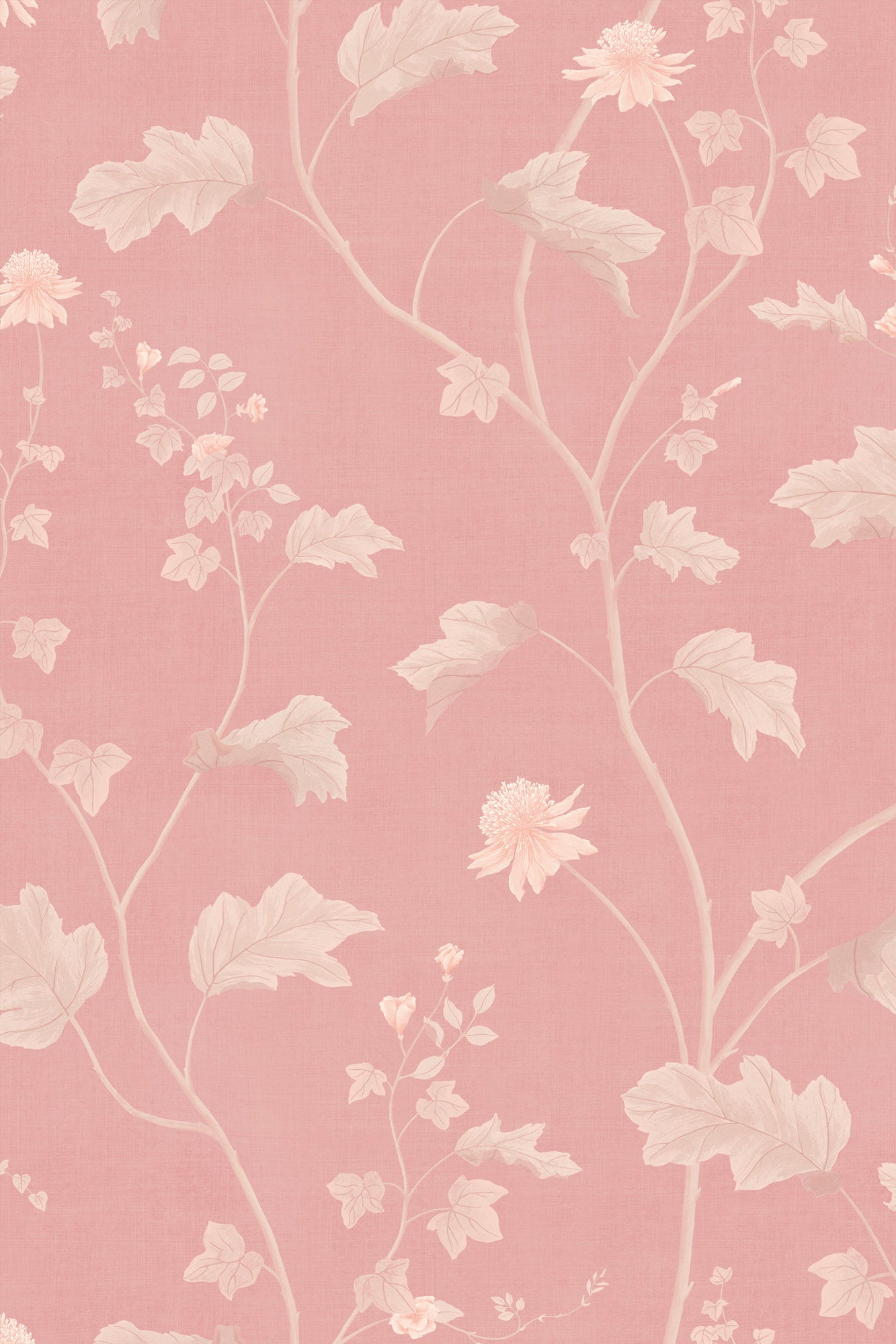 Iliav - Rose cerisier