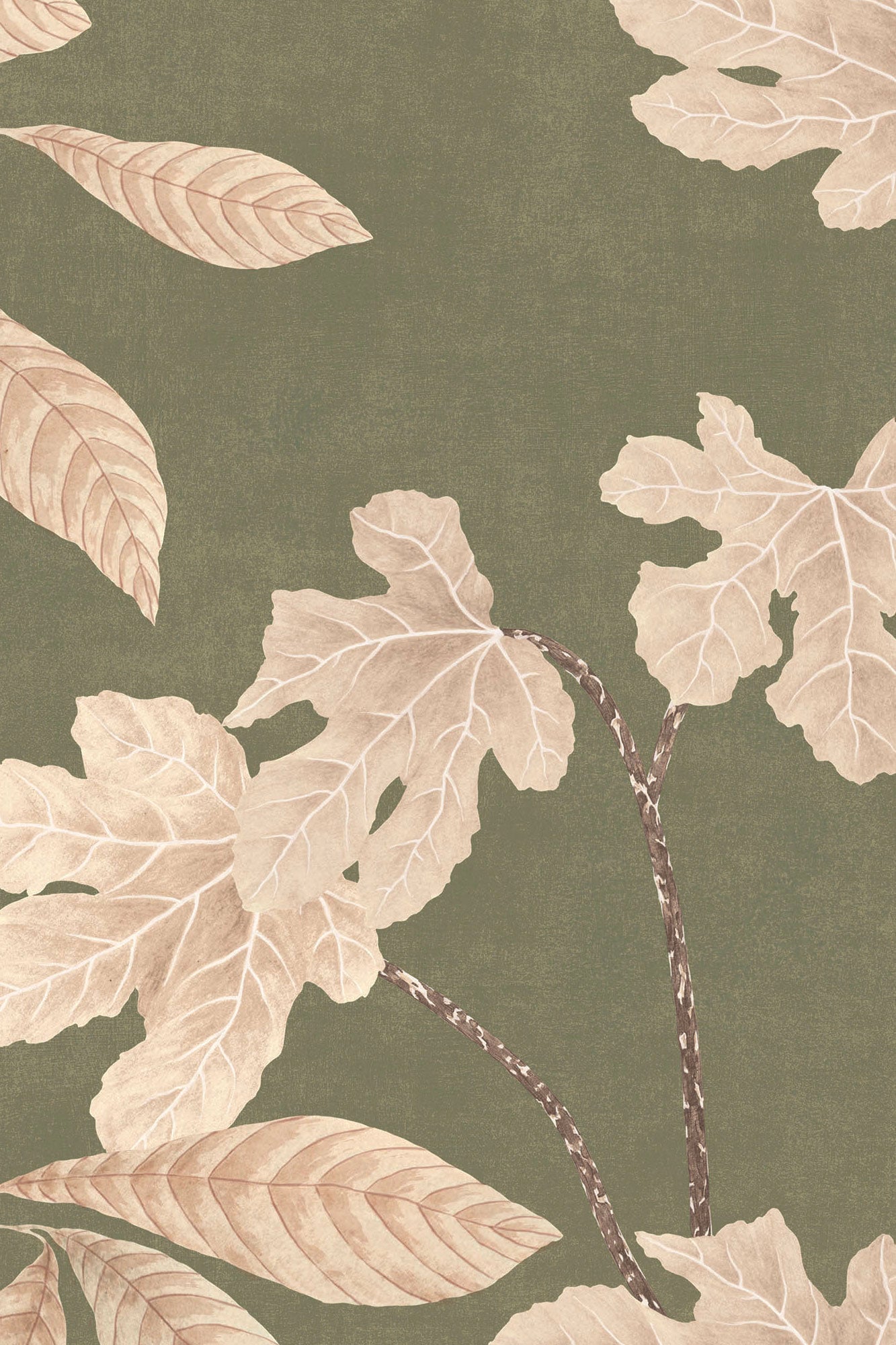 Bois d'Or - Vert Sauge